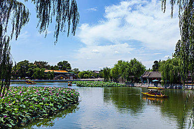 男人下面插女人下面的APP：双人协同驾驶新纪元，极致默契征服赛道-2