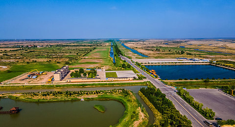 黄色软件入囗：赛车游戏模组热潮引争议，自由改装与公平规则如何平衡-2