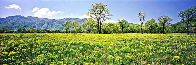 未满十八岁禁：暗夜轰鸣，成人世界的速度抉择与道德边界-3