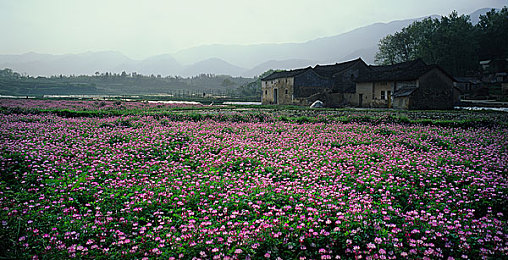 草逼应用：极限狂飙荒野，征服草地与泥沼的驾驶艺术