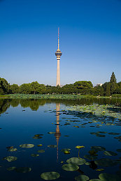 porny色：《极速幻色：霓虹狂飙》正式发售，用动态色彩重塑竞速游戏感官体验-4