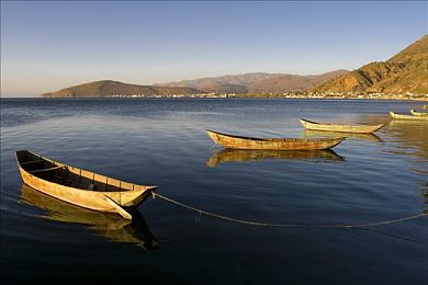 向日葵视频APP站长统计：地平线5数据奥秘公开，专业车手教你用统计提升驾驶技术-4