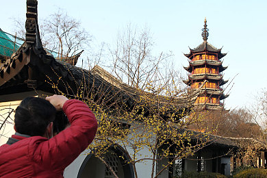 色多多。：霓虹谷光谱飞车，色彩能量竞速革命-2