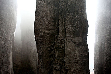 美女搞基差差app：霓虹街头竞速，团队协作决胜未来赛道-4