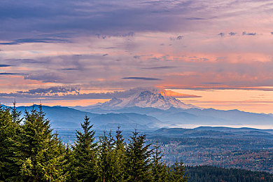 儿子把坤坤放在：虚拟偶像副驾，极速羁绊共赴竞速之旅