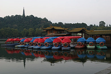 黄色软件怎么：霓虹涂装暗藏玄机，极限街头竞速攻略今日揭秘