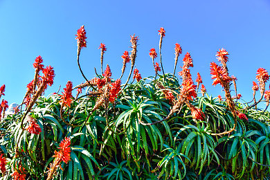 91吃瓜黑料：都市暗影极速追踪，赛车收集双线揭秘都市传闻-3