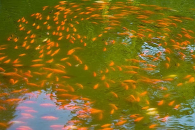 亚洲gv：霓虹街影，极速穿梭，都市脉动中的改装传奇-2