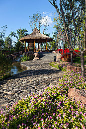 机机对机手机免费版:智能车手进化之旅,赛道上的机器学习竞速体验-2