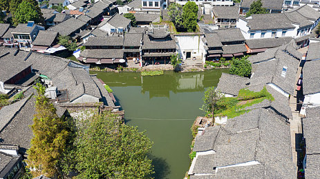 挑花直播：极限竞速地平线，梦幻车库艺术展-2