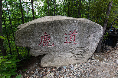 姬小满乳液狂：灵动竞速，虚拟英雄的极速幻想之旅-3