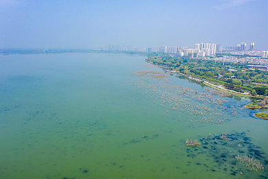 免费下载无毒黄色软件：疾驰墨西哥，收藏阳光下的经典速度符号-5