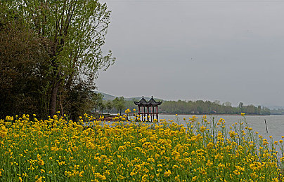 挠脚心+折磨+抹油+哭喊作文2023:极限失控竞速,在油污与尖叫中挑战驾驶边界-3