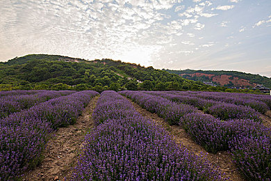 色综合,色综合,色综合：墨西哥画卷上的疾驰调色盘，地平线五重奏的视觉交响诗-4