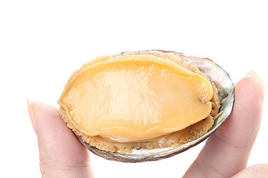 亚洲一区。：极速纪元亚洲风云上线，专业赛车模拟与竞技攻略全解析