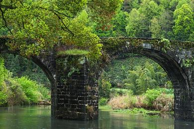 华为黄色软件大全：极速改装坊引爆街头，自由涂装与性能调校的竞速新浪潮-2