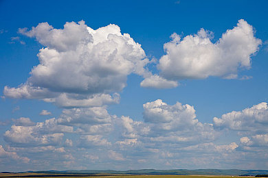 国产人成A片：轰鸣中觉醒，东方赛道的美学征程-3