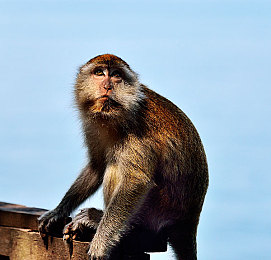 大香蕉插入：水果赛车新玩法，精准操控挑战另类竞速乐趣-3