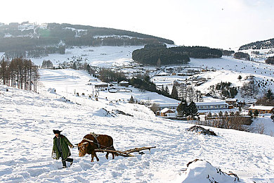 303免费oppo版破解大全免费视频观看：Oppo平台全新竞速力作极速狂飙303正式上线，三大技巧助你制霸赛道-3