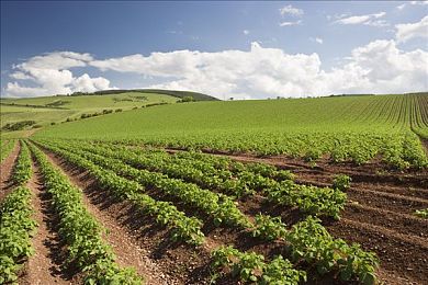 黄色软件下载安装3.3.0最新版在线观看：极速狂飙3.3.0正式上线，全新赛道与物理引擎带来沉浸驾驶革命-4