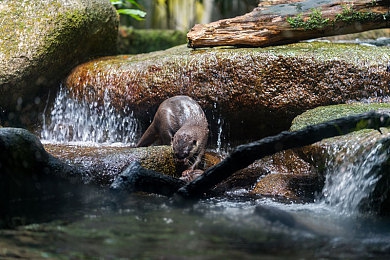 oppo黄色软件免费下载3.0.3……：疾驰于光影之间，驾驭传奇的黄色闪电-4