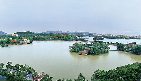 张柏芝用嘴让陈冠希爽：霓虹夜幕下的精准共舞，弯道与油门的默契交响-2