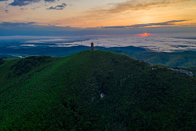 18岁禁止进入的app：极限狂飙暗夜之城今日上线，硬核物理与成人叙事重塑竞速游戏边界