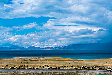 猪场老板的女儿：废料场继承者，用赛车改装重振家族农场-2