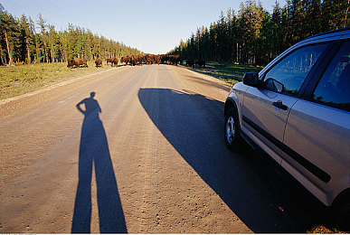 修修漫画免费漫画弹窗入口：当漫画对话框变身赛车改装库，硬核玩家直呼专业-3