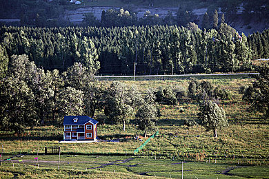 404禁用app：当科技反噬，在限制中竞速的叛逆公路