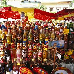 珍妮动画：驶入复古像素世界的极速动画之旅