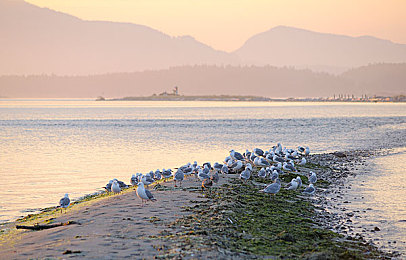 91成人抖音视频：《极速幻影：都市狂飙》引爆玩家社区，深度改装与短视频式分享成新潮流-2