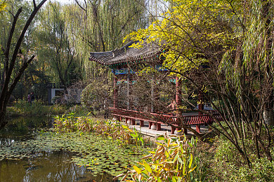 国产AV色欲：视觉竞速新浪潮，国产美学驾驶游戏深度解析与攻略