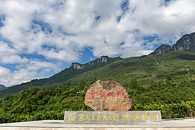 五月婷婷丁香花:风驰春径,紫雾赛道幻境之旅-3