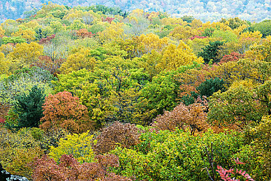 男生和女生啪啪app：双心共驭，极速交响，默契协奏的赛道诗篇-2