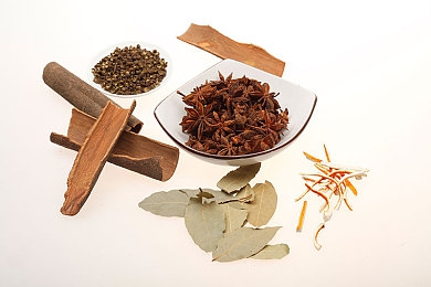 雄性宠物挺进女人：疾风与钢铁的共舞，意志交织的竞速诗篇-1