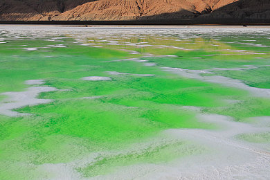 男生女生一起羞羞羞很痛的app：痛感交织的赛道，共担碰撞的羁绊之旅-2