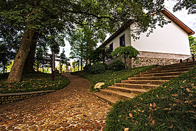 杨敏思版1-5电视剧演员表：极速征途，你的传奇车队由我构建-2