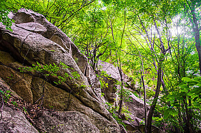 苏州ios晶体公司：极速晶体革新竞速玩法，未来赛道策略与视觉盛宴-4