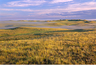男生和女生上床羞羞羞软件：极速狂飙与情感交织，体验虚拟都市的双重人生之旅-4