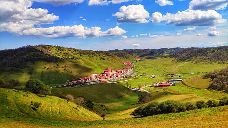 爱情岛论坛亚洲自拍:极速心跳,改装情缘,虚拟车友社交之旅-3