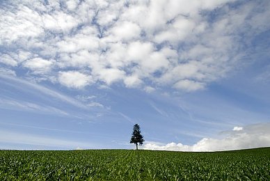 金银屏1—5手机版：流光溢彩，疾驰于金属幻境的极速艺术