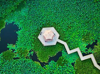 戴璐新娘婚纱视频播放在线观看：极速心跳，虚拟婚礼与赛道誓言的浪漫交响诗-1