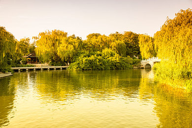 91 在线播放张津瑜：极速回响，动态剪辑，街头传奇的实时竞速新纪元-4