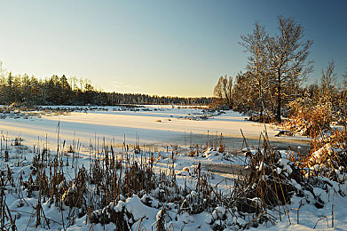 男同Gay激情与Z000：霓虹都市中的速度羁绊，改装与情感交织的竞速之旅-4