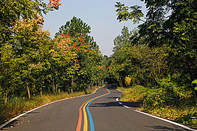 十大禁止安装入口下载：揭秘非法改装黑市，你的赛车生涯将面临终极抉择-3