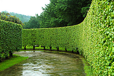 台湾黄色网址:极速狂飙隐藏赛道全解析,征服金色海岸线驾驶挑战-1