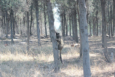 男生和男生做爱网站：双人协同驾驶革新体验，极速搭档今日正式上线-2