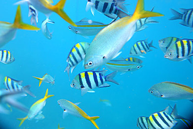 女生吃男生小困困：竞速新纪元，性别反转策略引爆赛道对决-2