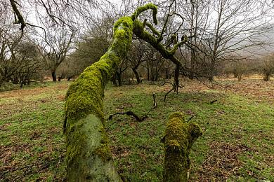 黄色成人软件下载：霓虹街头极速觉醒，隐藏改装秘籍全解析-2